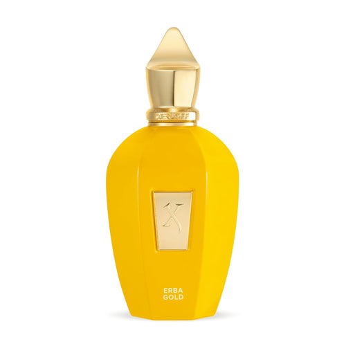 Xerjoff Erba Gold Eau de Parfum – Citrus Amber Unisex Perfume, 100 ml (3.4 fl oz)